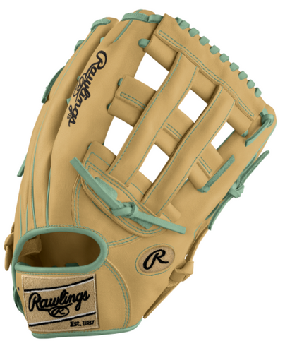 Custom Rawlings Heart of the Hide Limited Edition