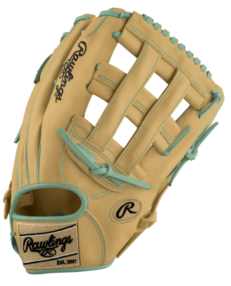Custom Rawlings Heart of the Hide Limited Edition