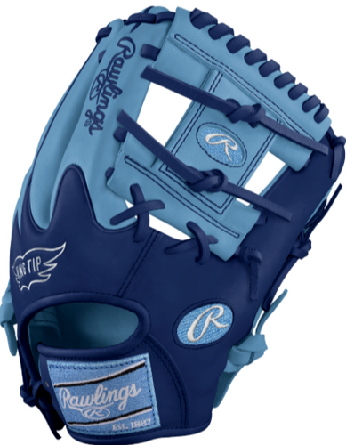 Custom Rawlings Heart of the Hide Limited Edition